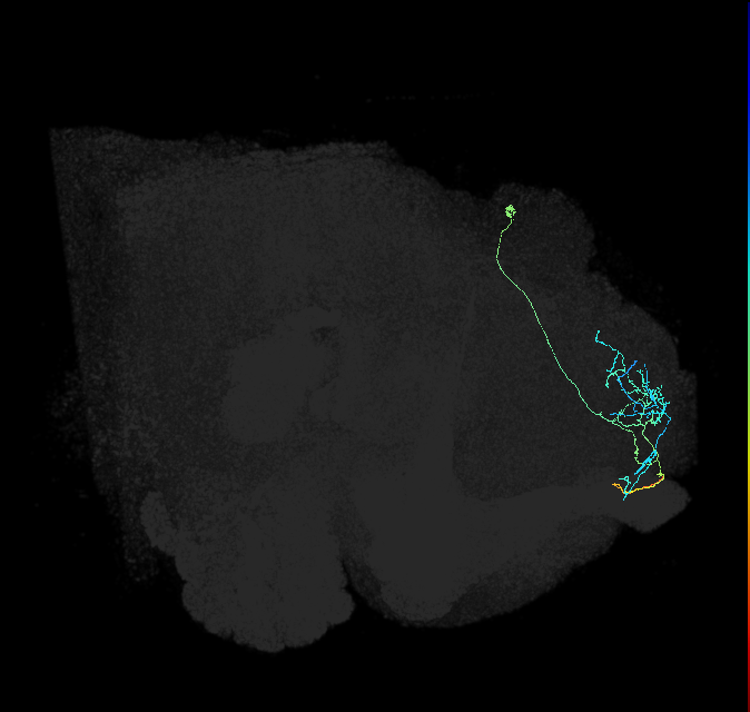 SLP405_a_R