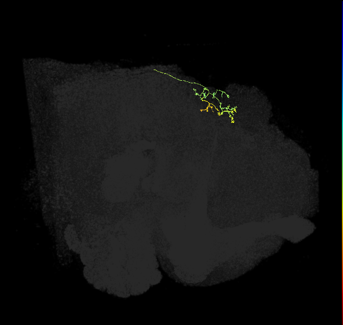 SpsP(PB16)_R