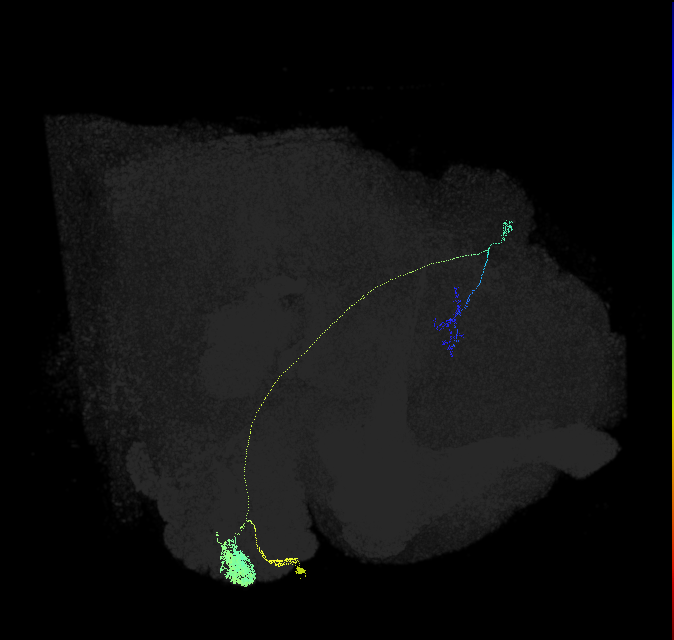 VA1d_adPN_R
