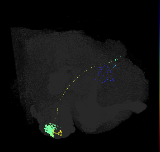 VA1v_adPN_R