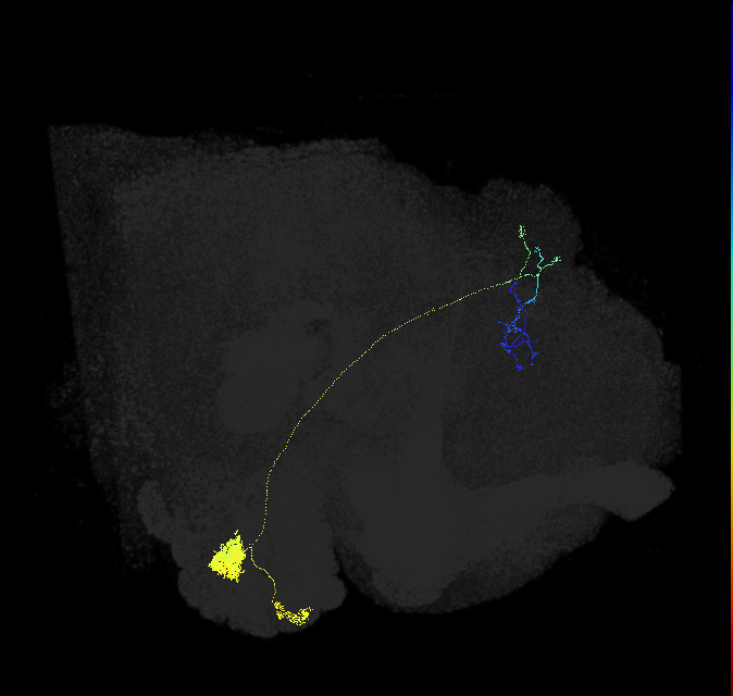 VC4_adPN_R