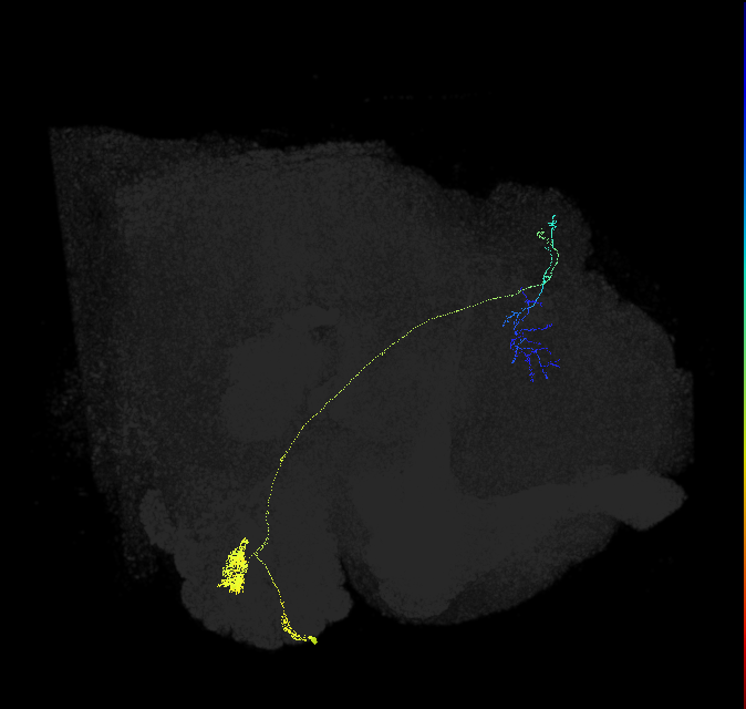 VC4_adPN_R