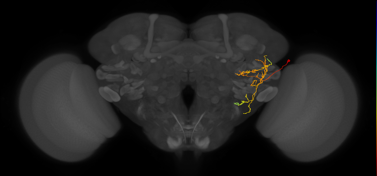WEDPN6B_R