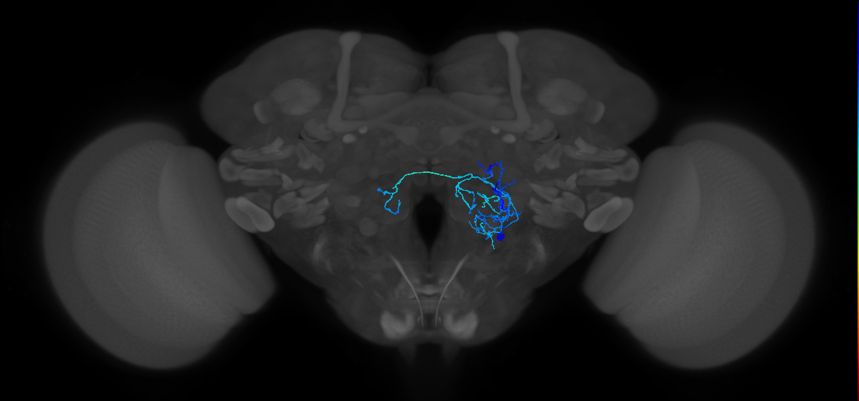 CB2527