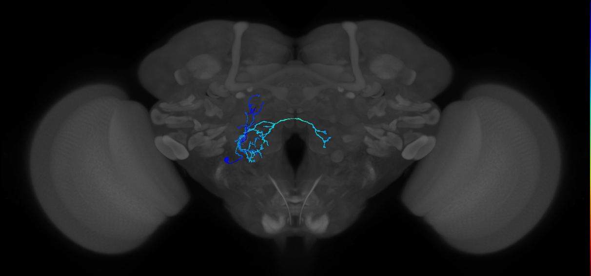CB2527