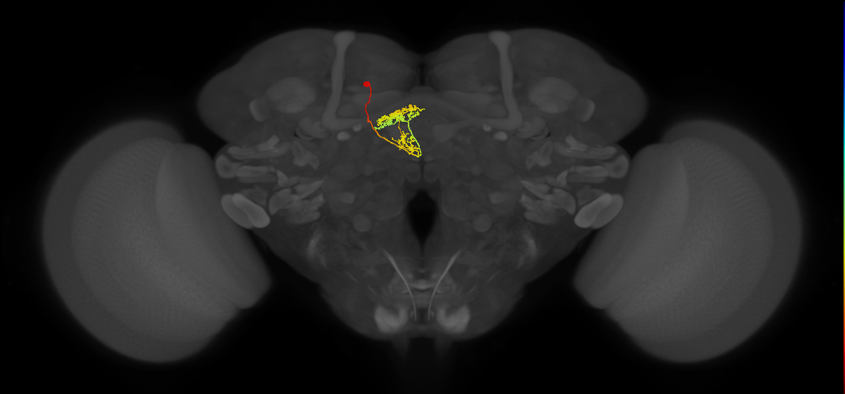 vDeltaF_C6 (MaleCNS:129936)