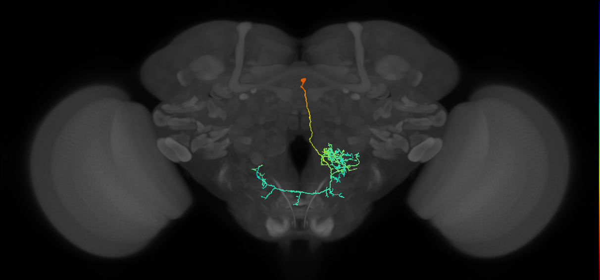 VES050