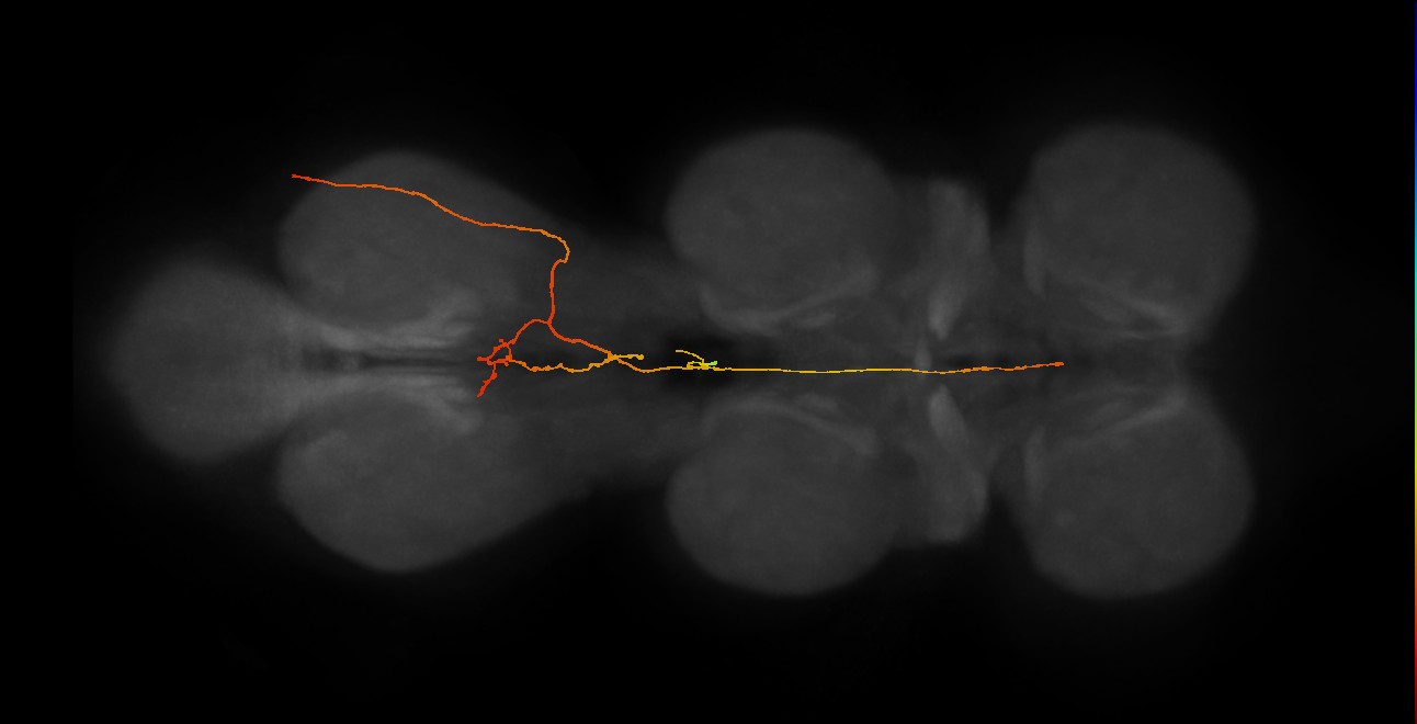 SNpp23