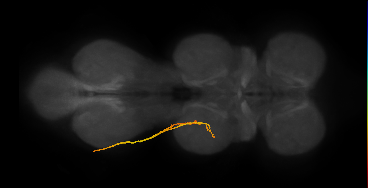 SNpp25