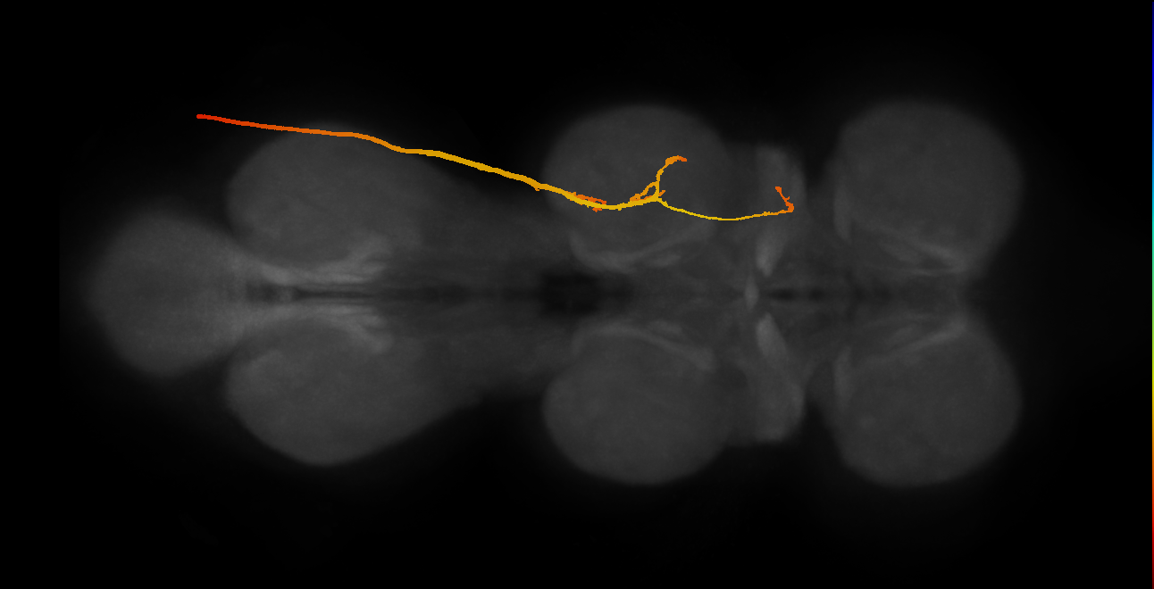 SNpp25