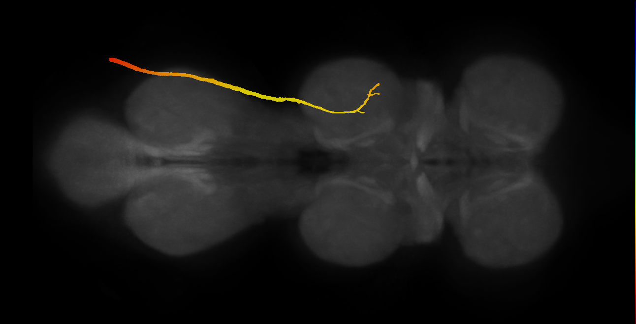 SNpp34