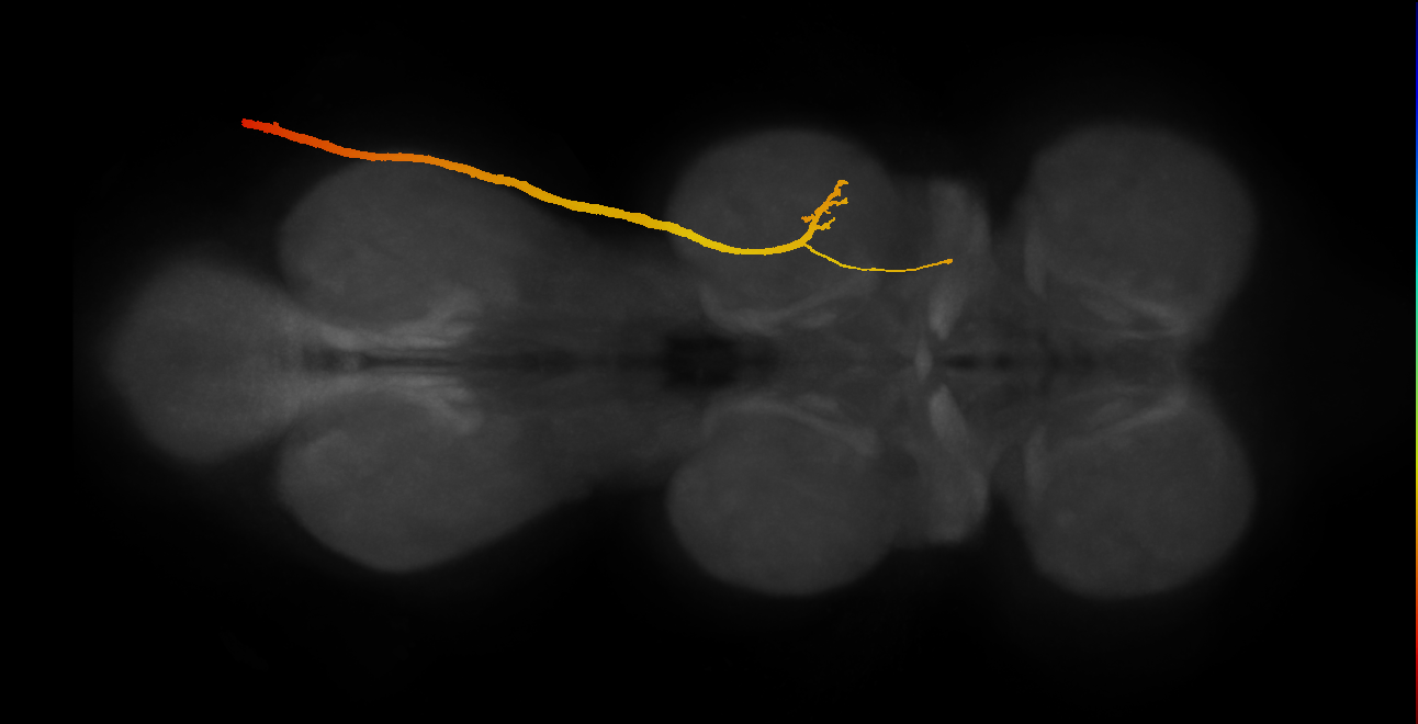 SNpp34