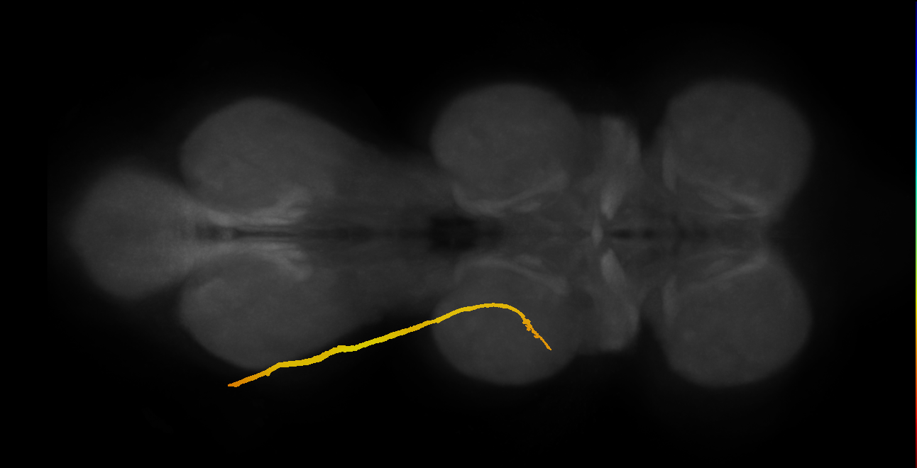 SNpp34