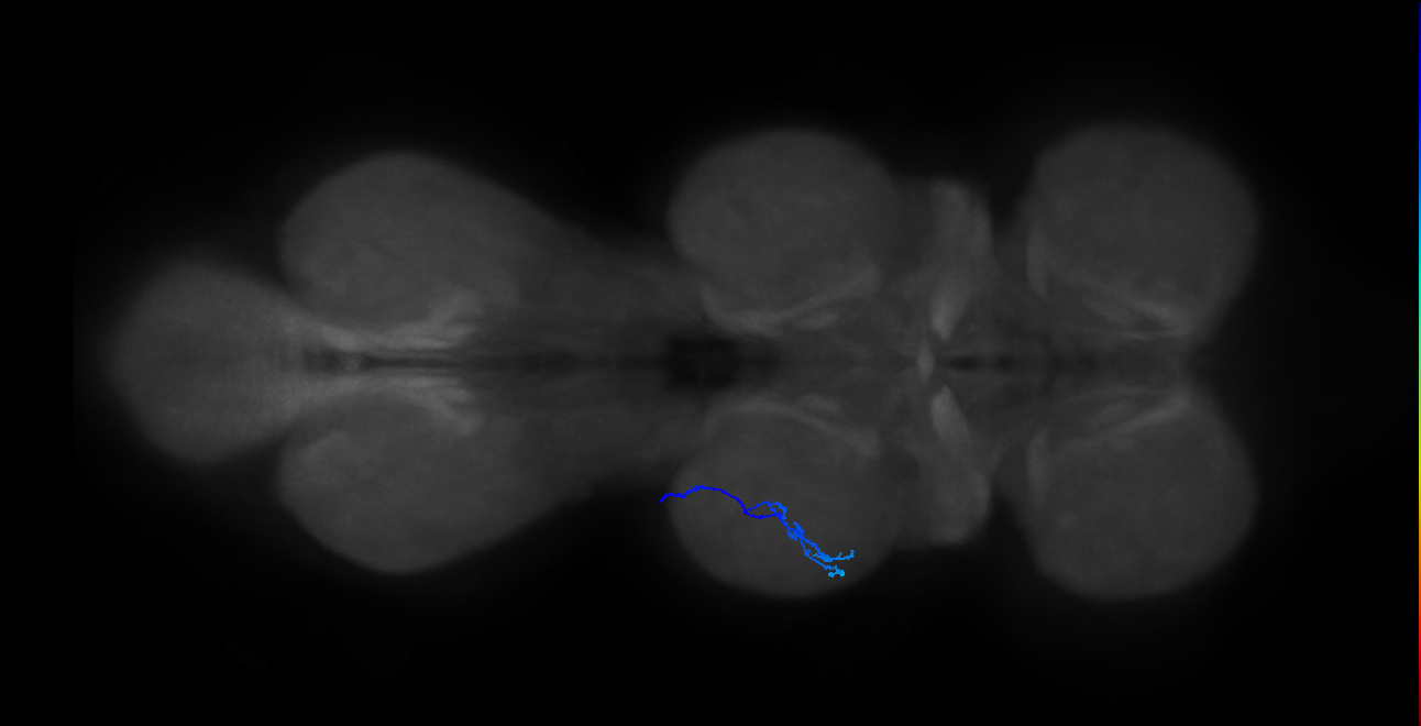 SNpp49