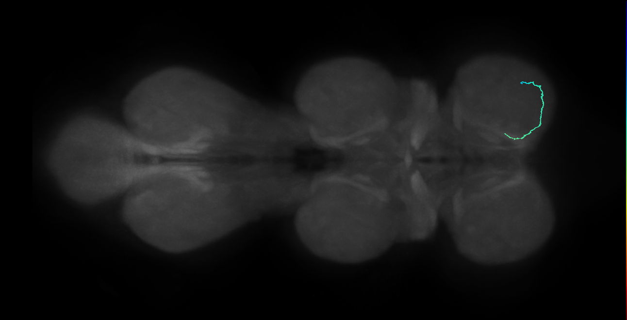 SNta41