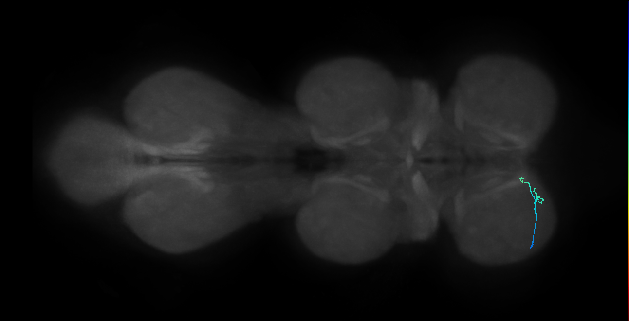 SNta41