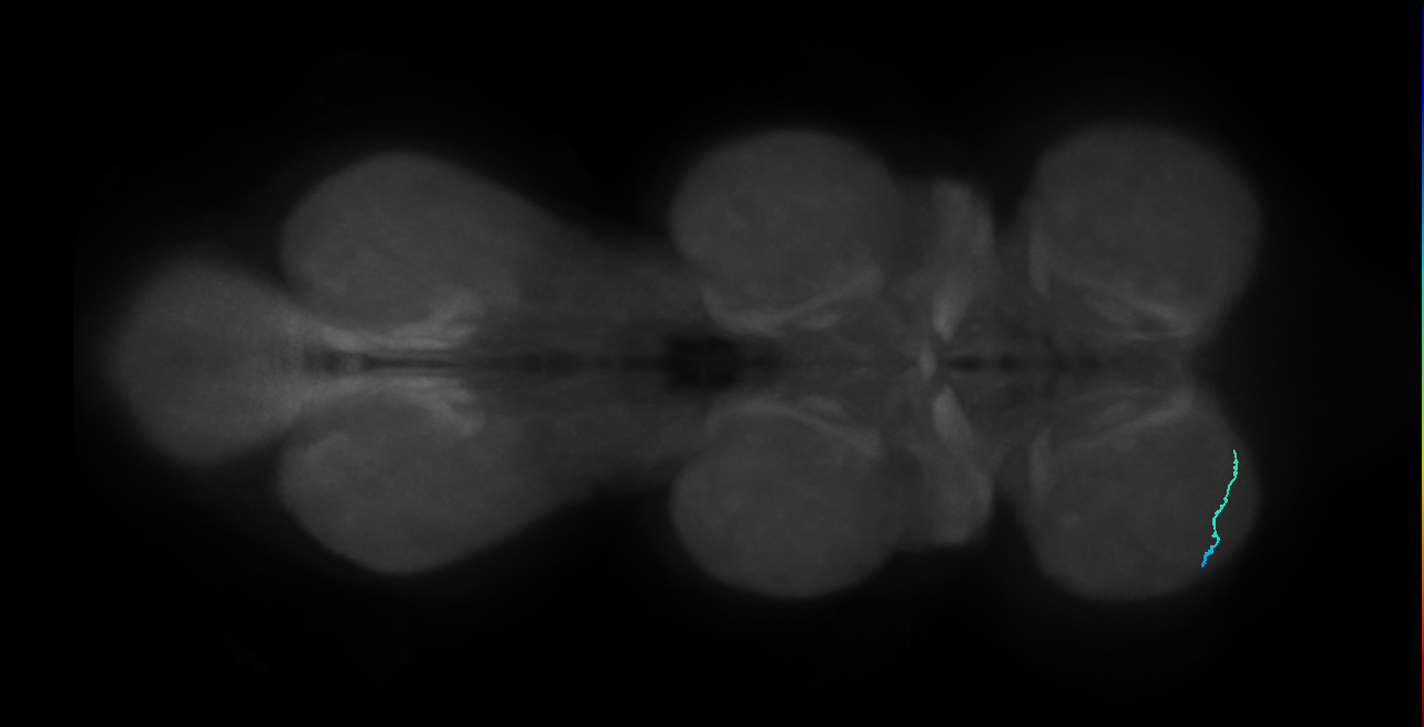 SNta41