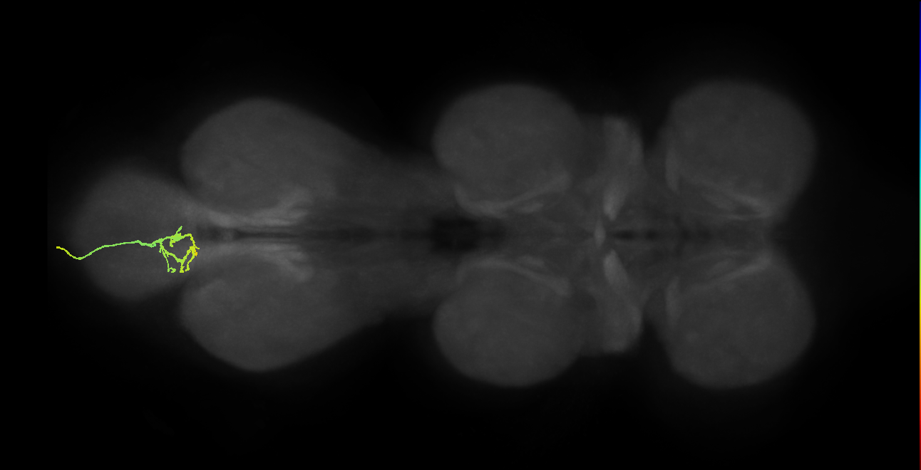 SNxx02