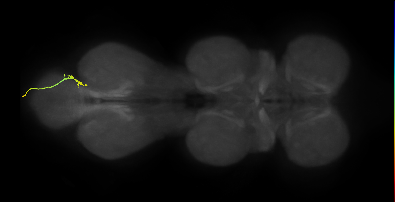SNxx02