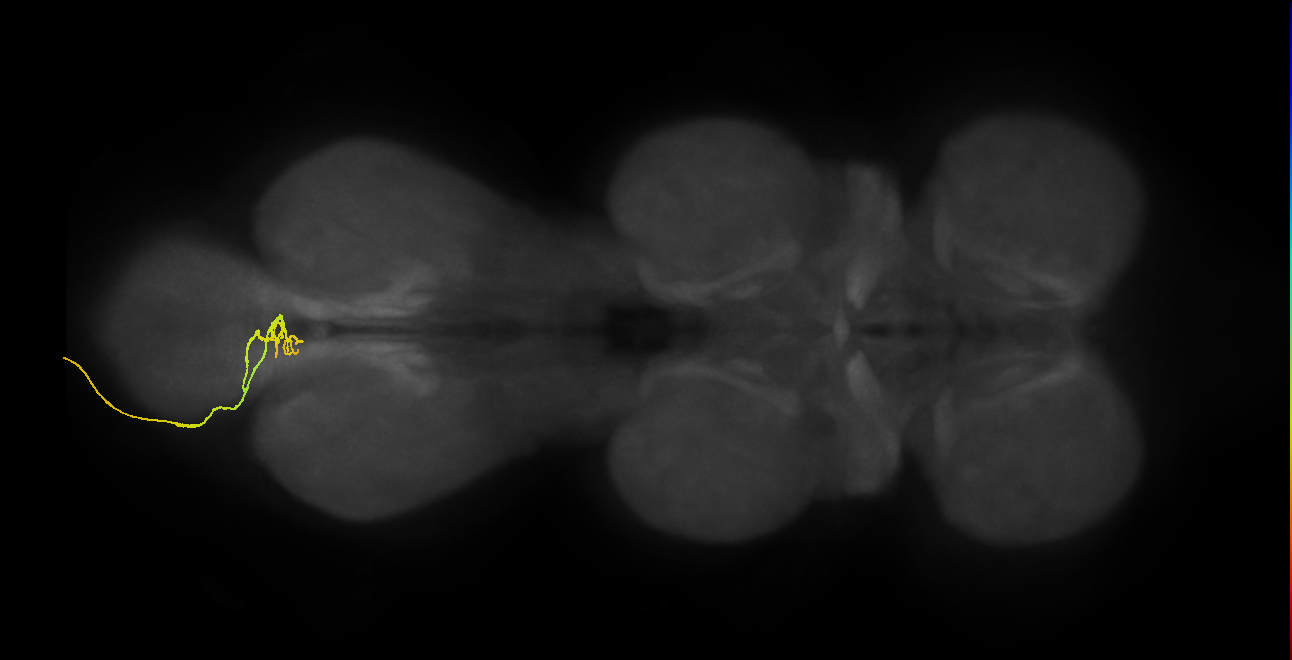 SNxx04