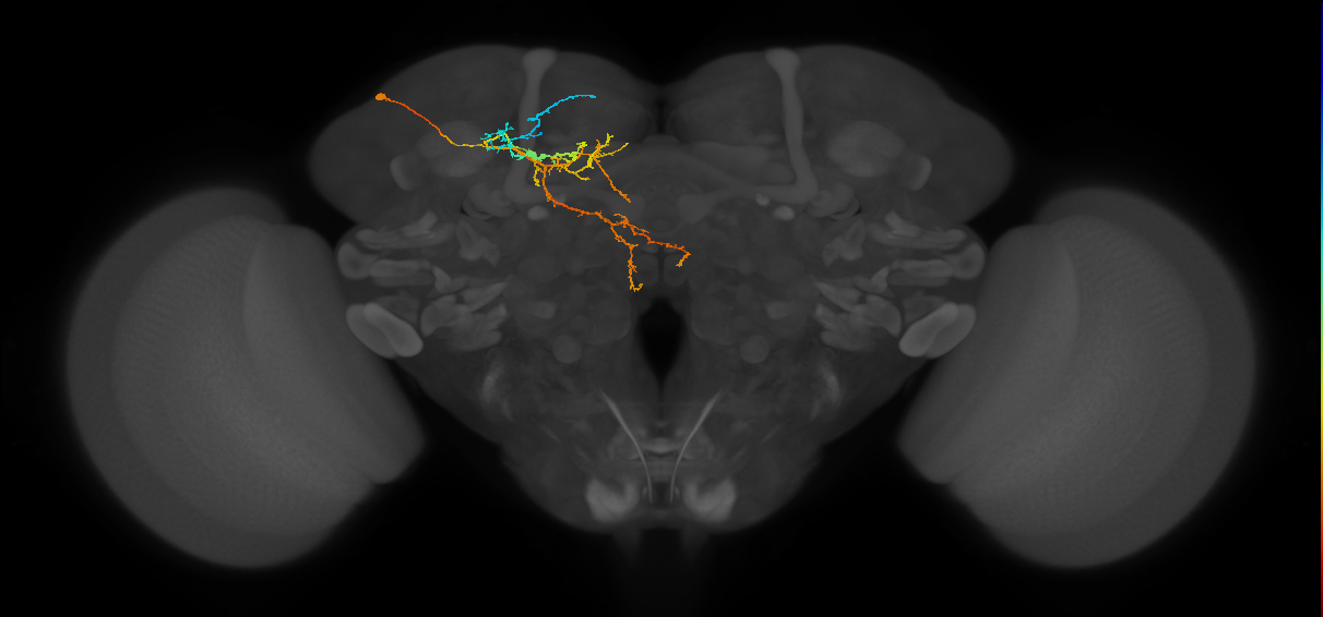 SIP033