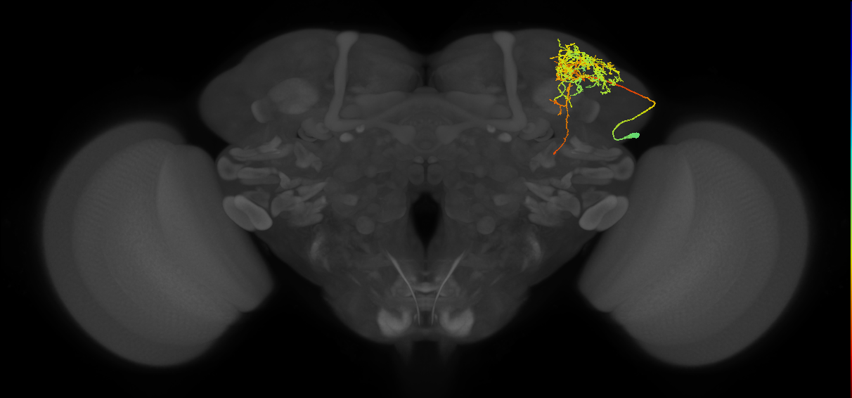 SLP077