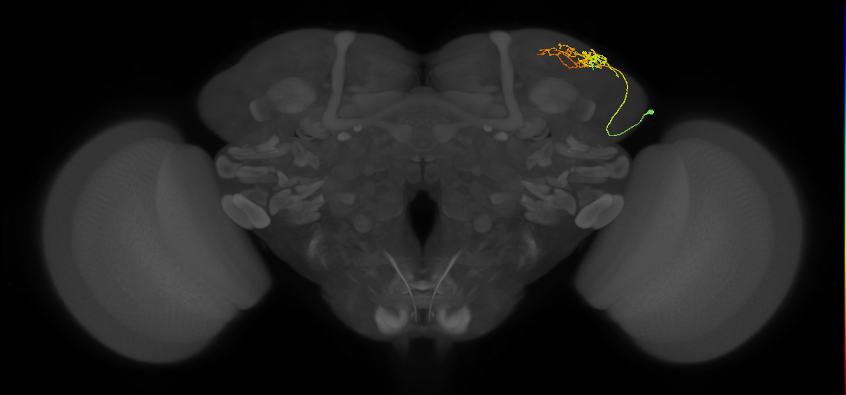 CB2078