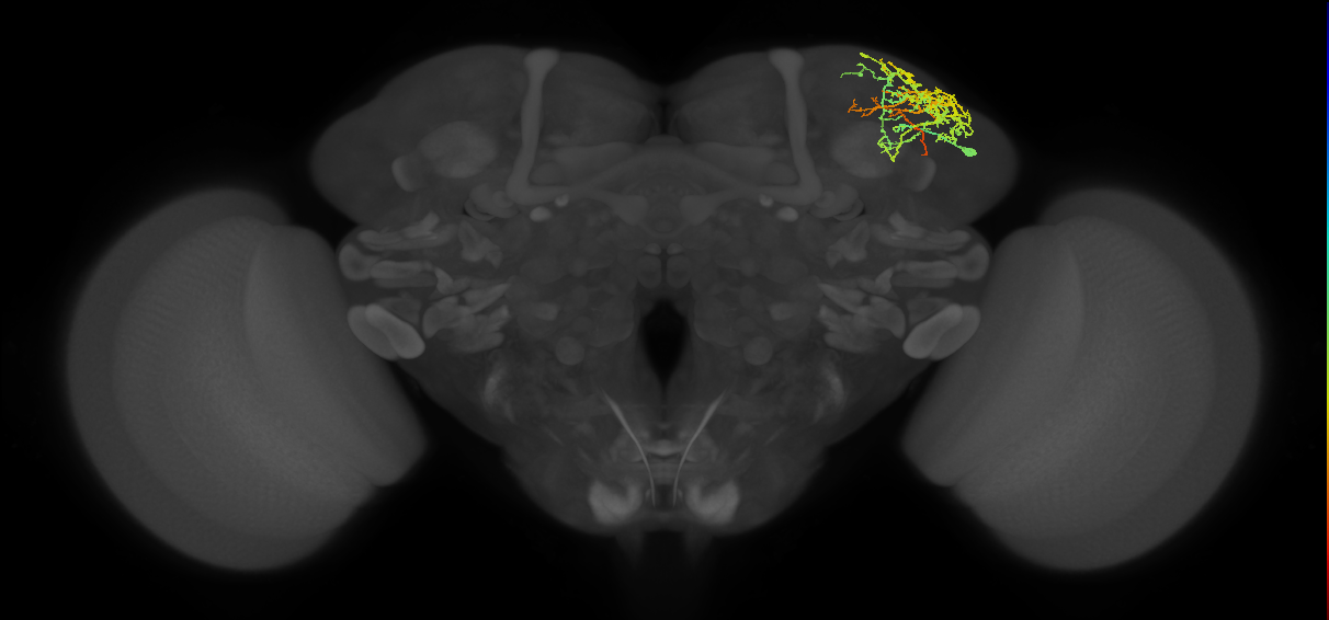 SLP158