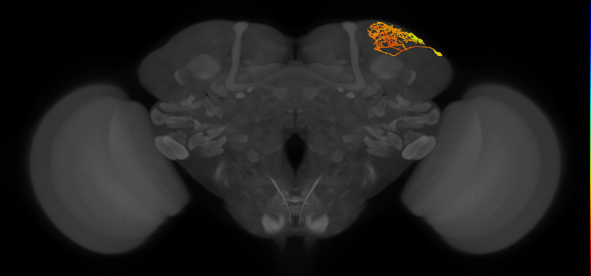 CB2529