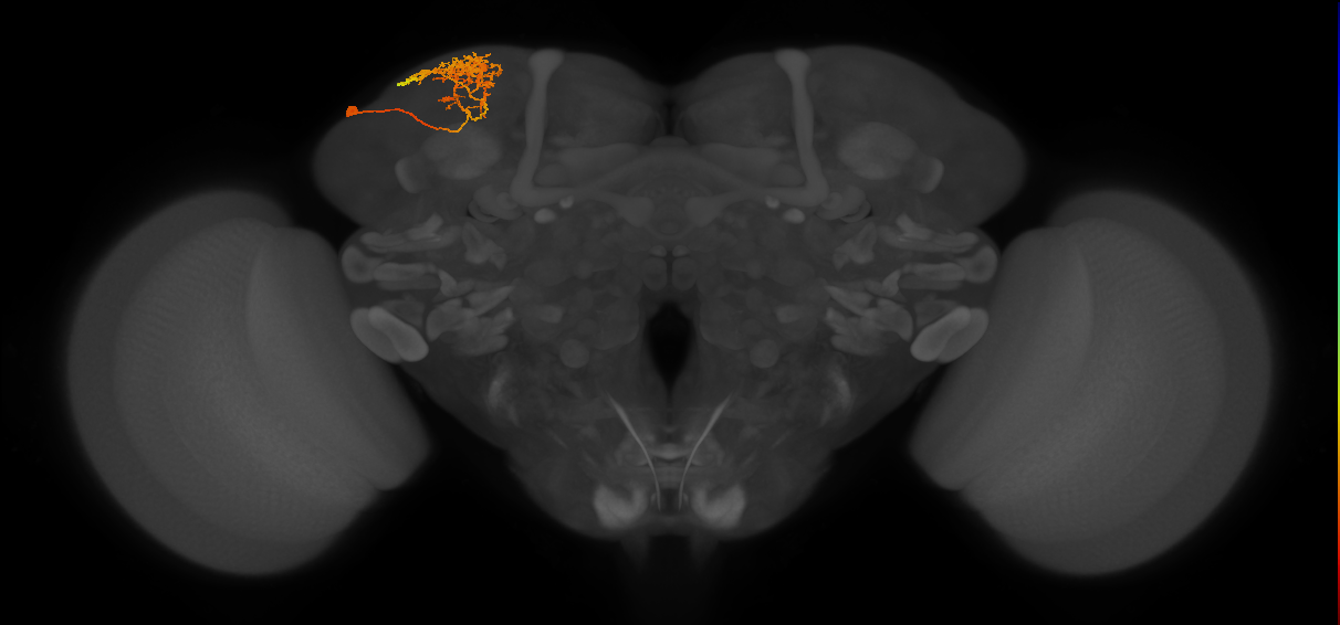 CB3686