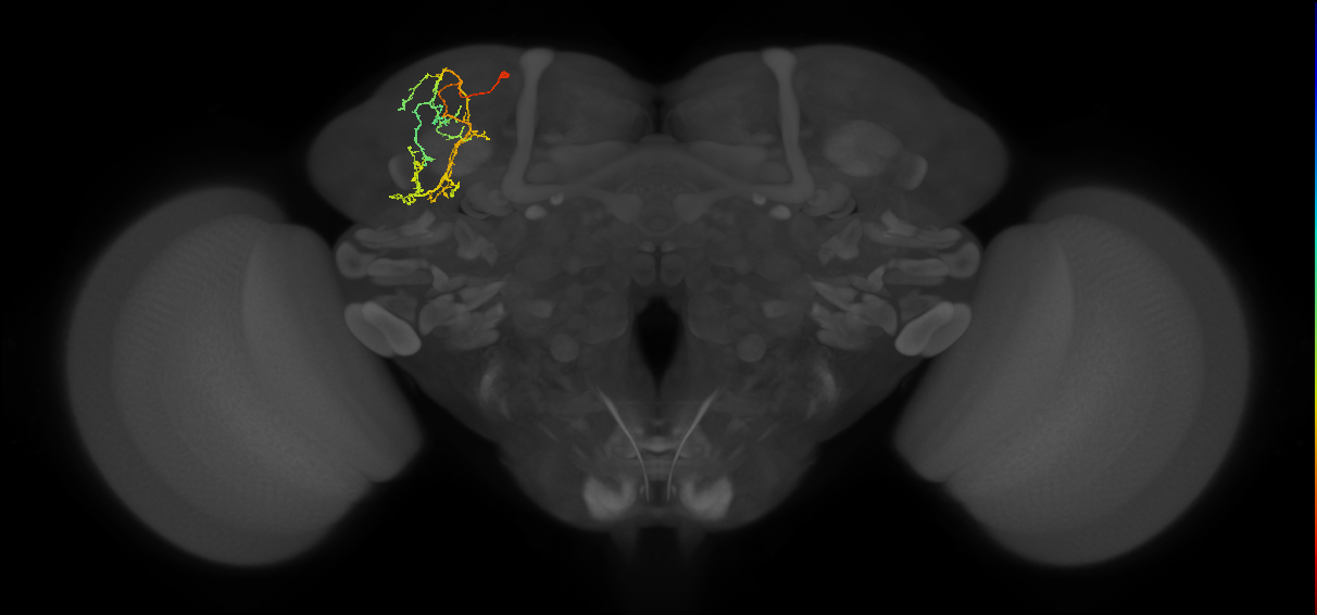 SLP285_L (MaleCNS:158390)
