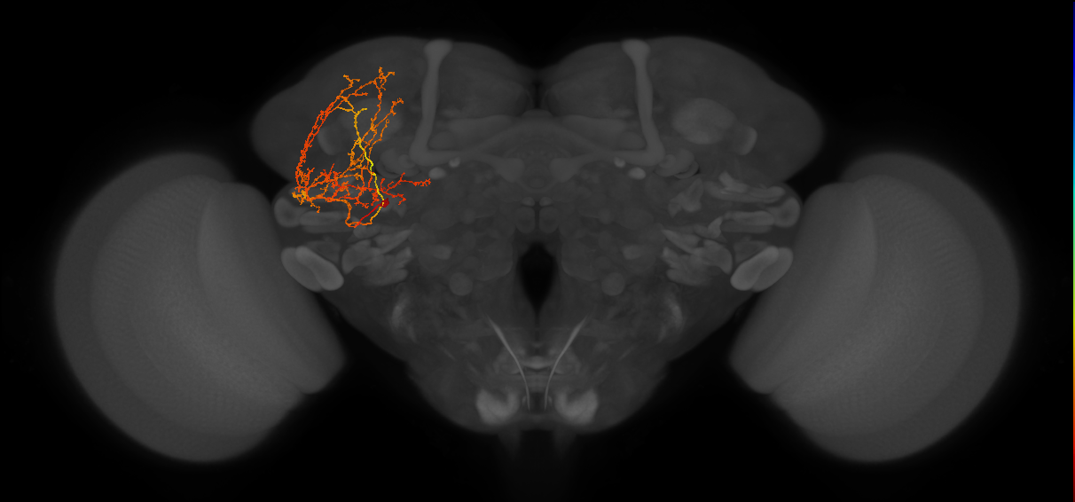 SLP361_L (MaleCNS:69331)