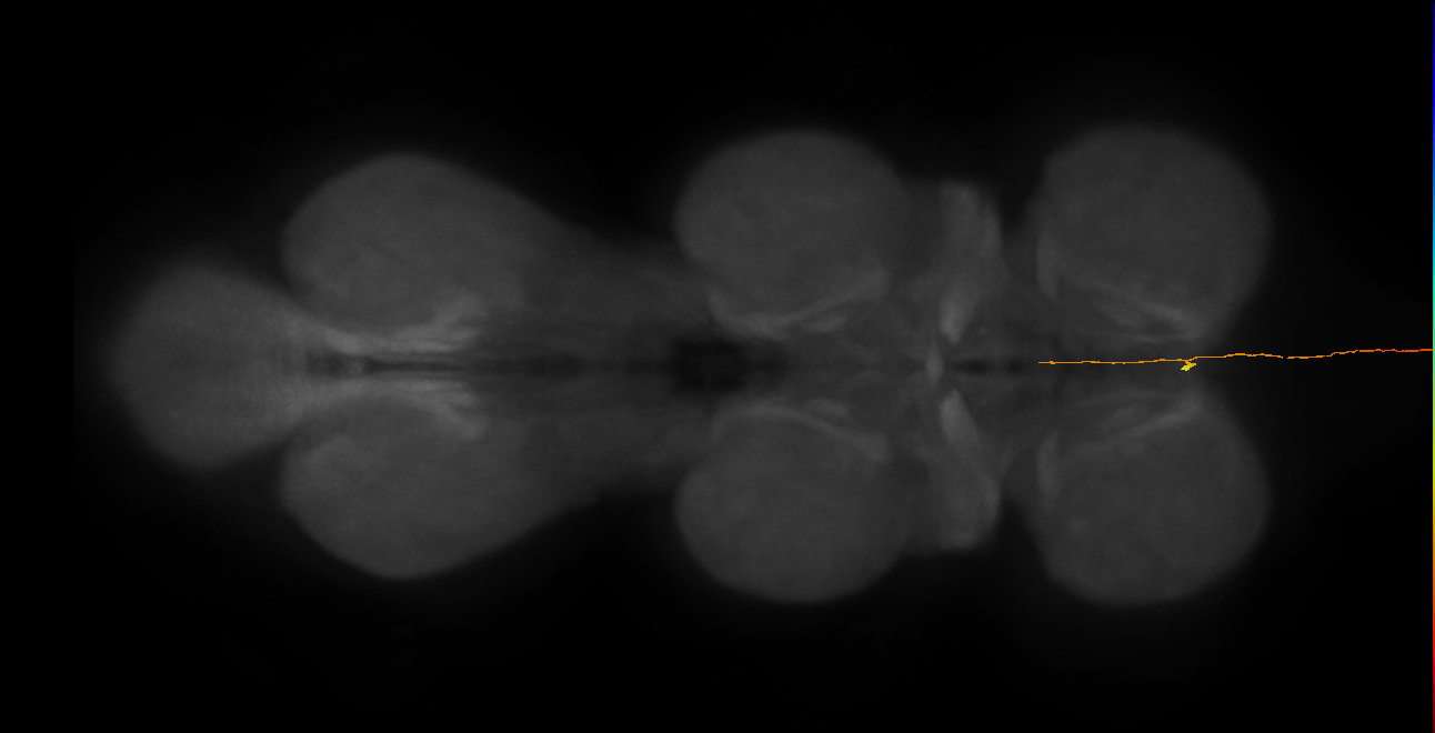 SLP406_L (MaleCNS:338399)
