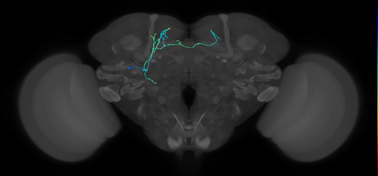 CB1163