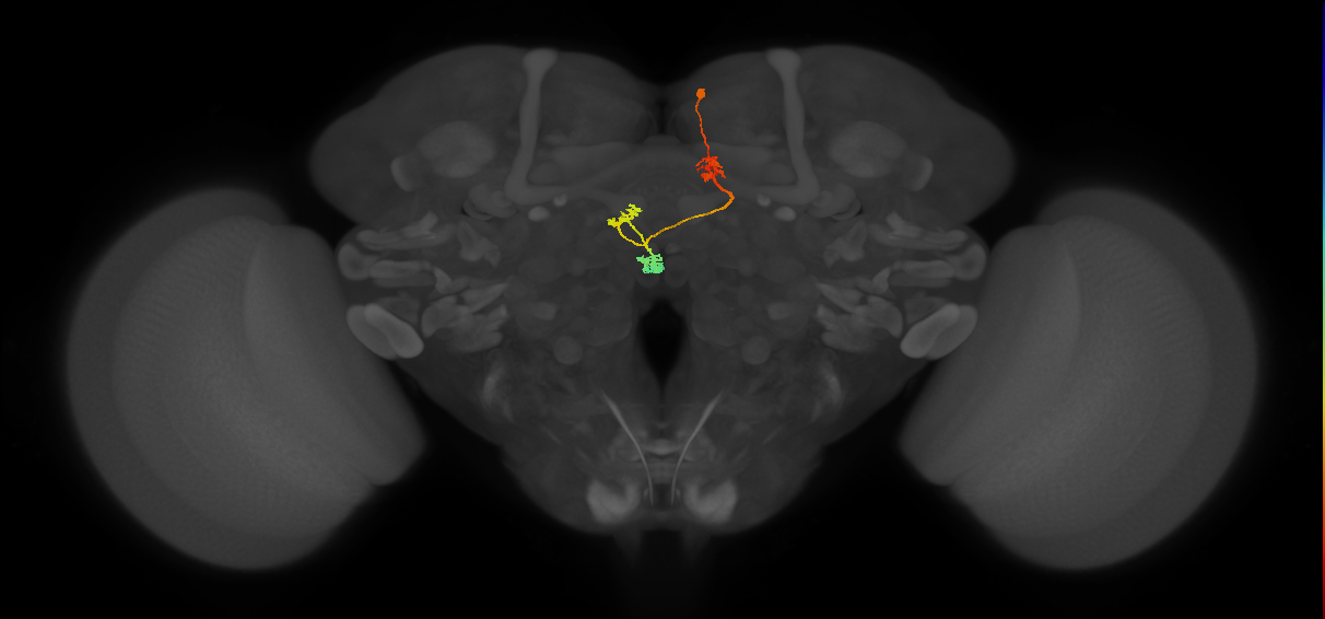 PFNd(PB04)_R4_C6 (MaleCNS:69515)