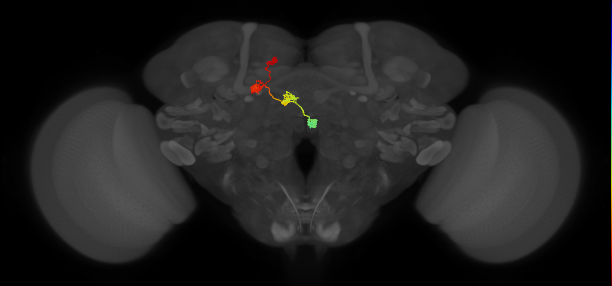 PFNd(PB04)_L7_C6 (MaleCNS:35461)
