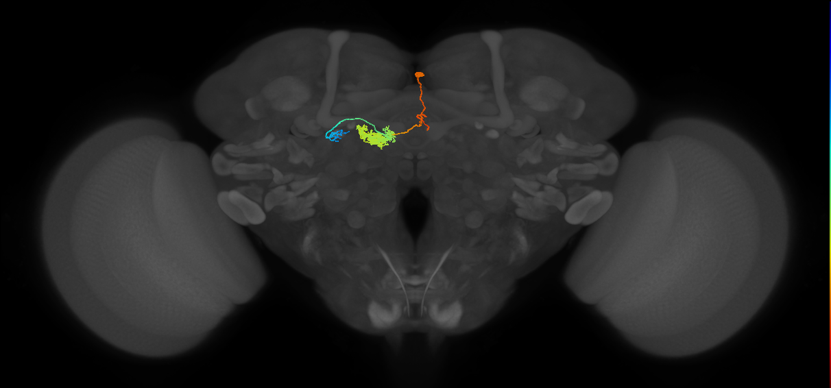 PFR_a(PB11a)_R2_C8 (MaleCNS:524351)