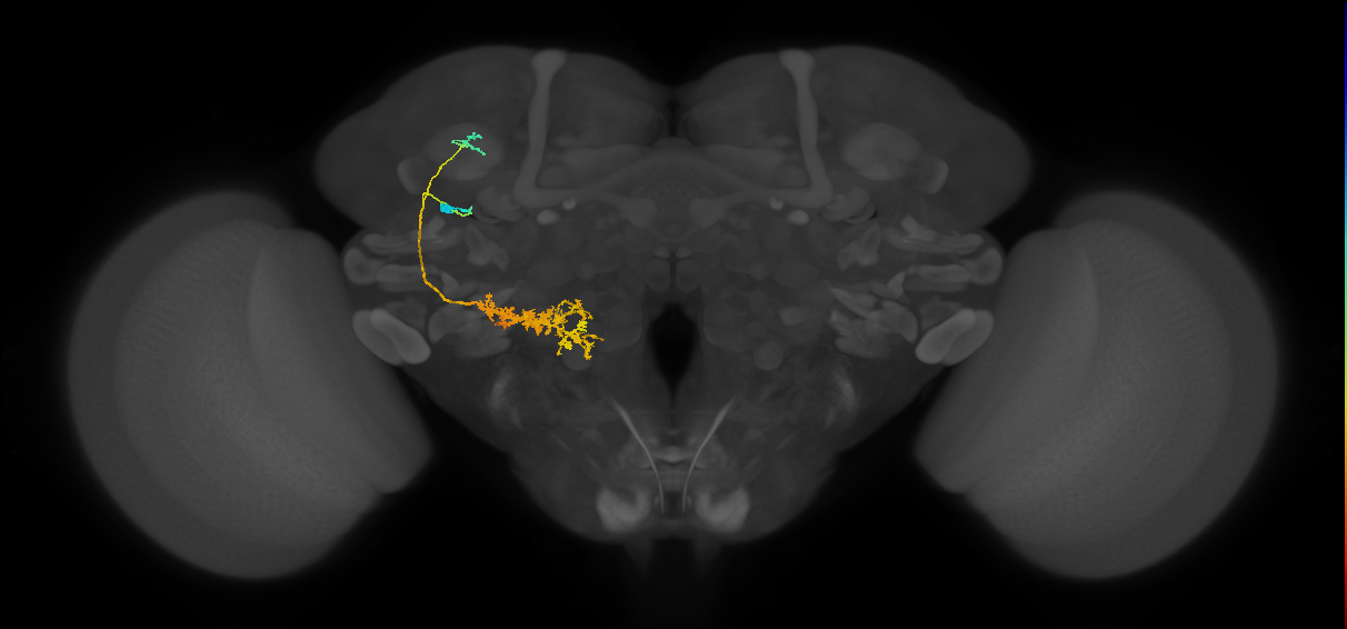 PLP009