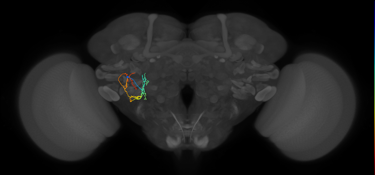 CB2320