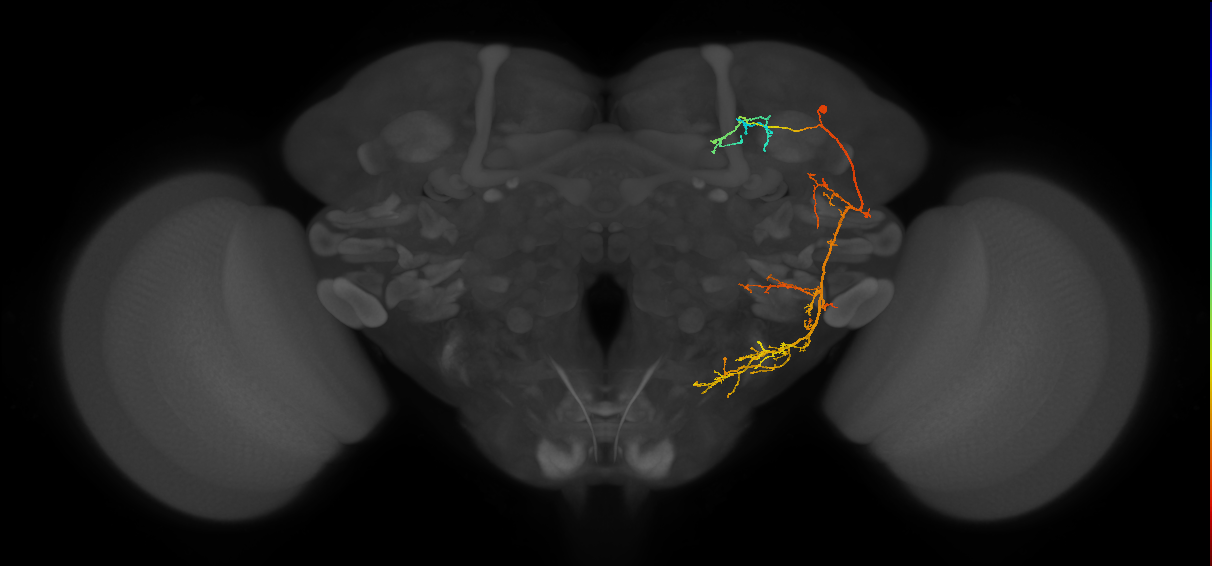 PLP122