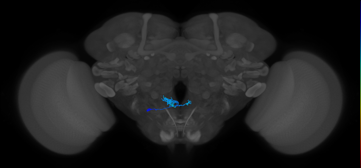CB1267