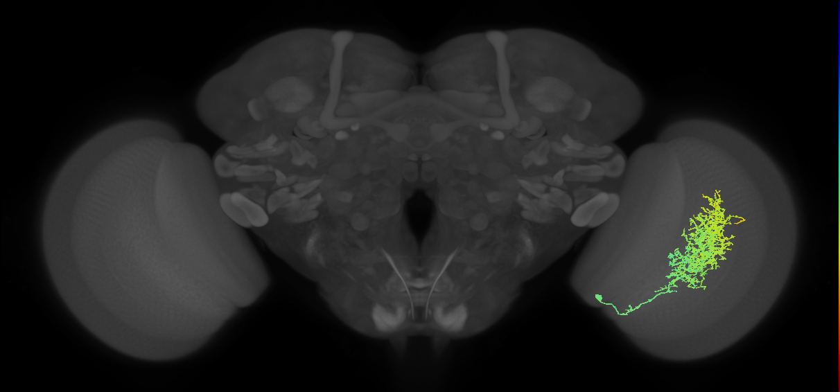 Pm1a