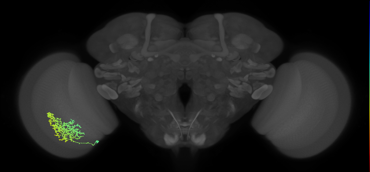 Mt4