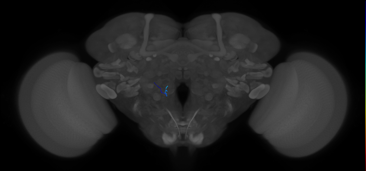 ORN_VM6m