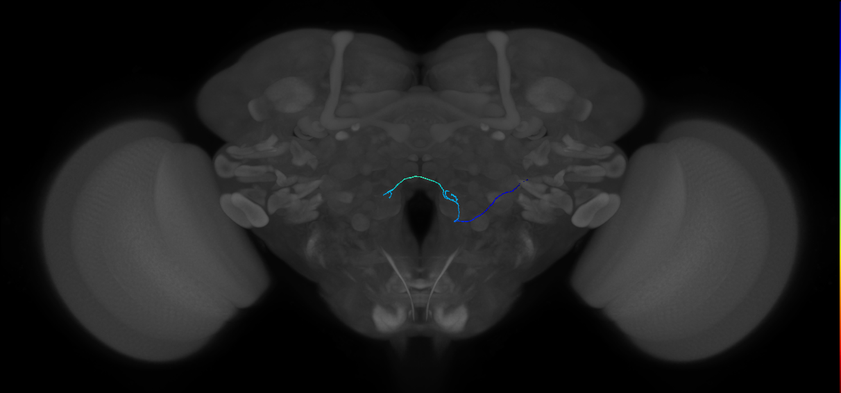 ORN_VM6m