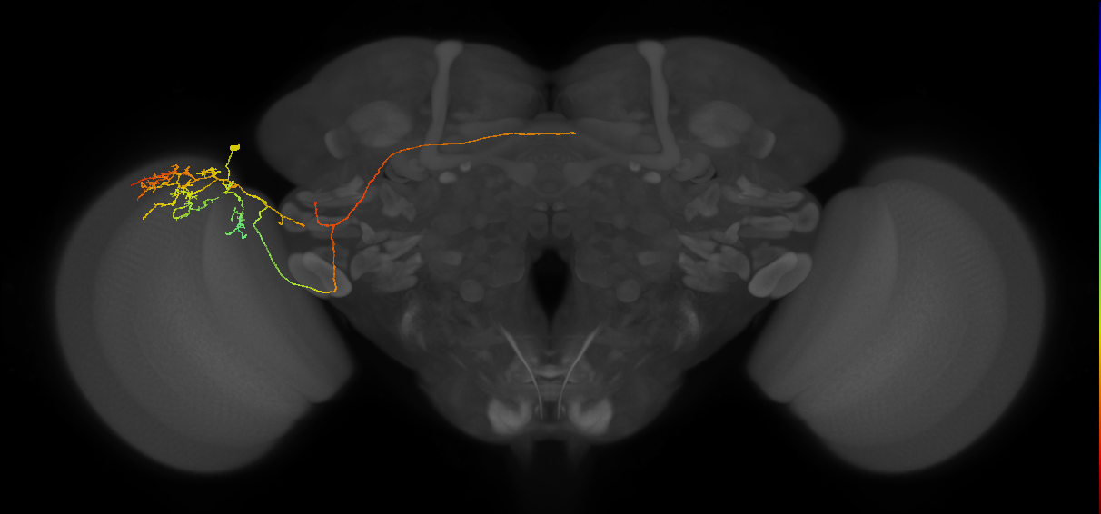 MeVPLo2