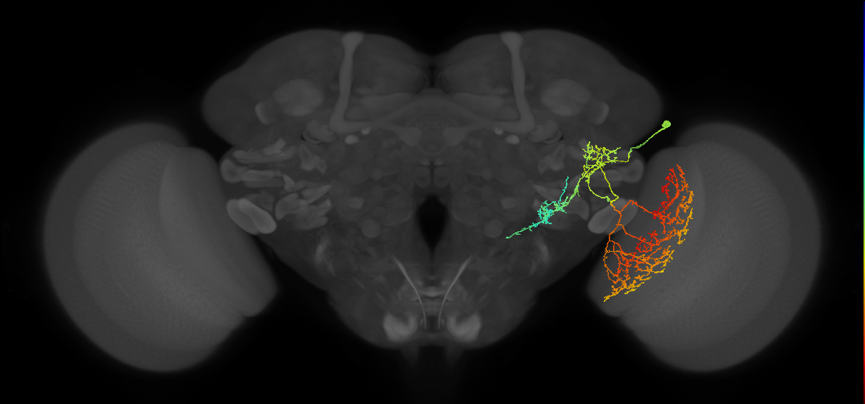 LoVP108