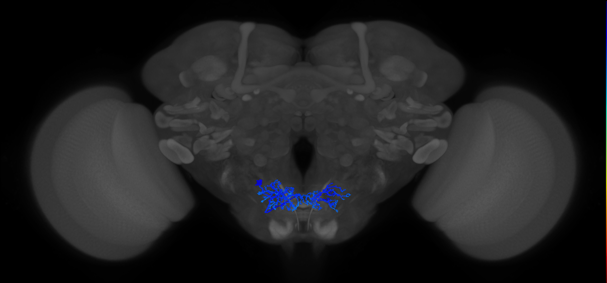CB0708