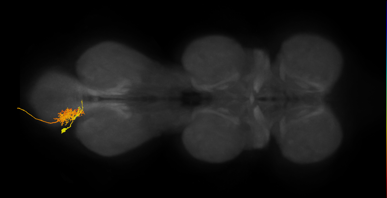 MNad01