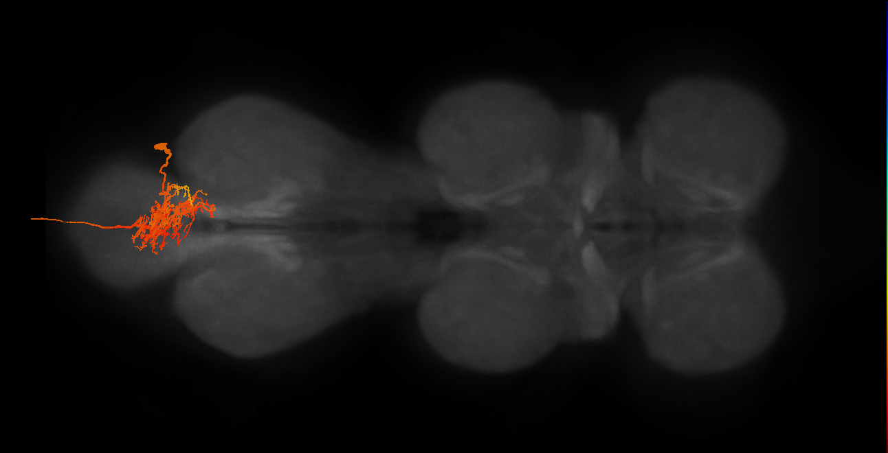 MNad01